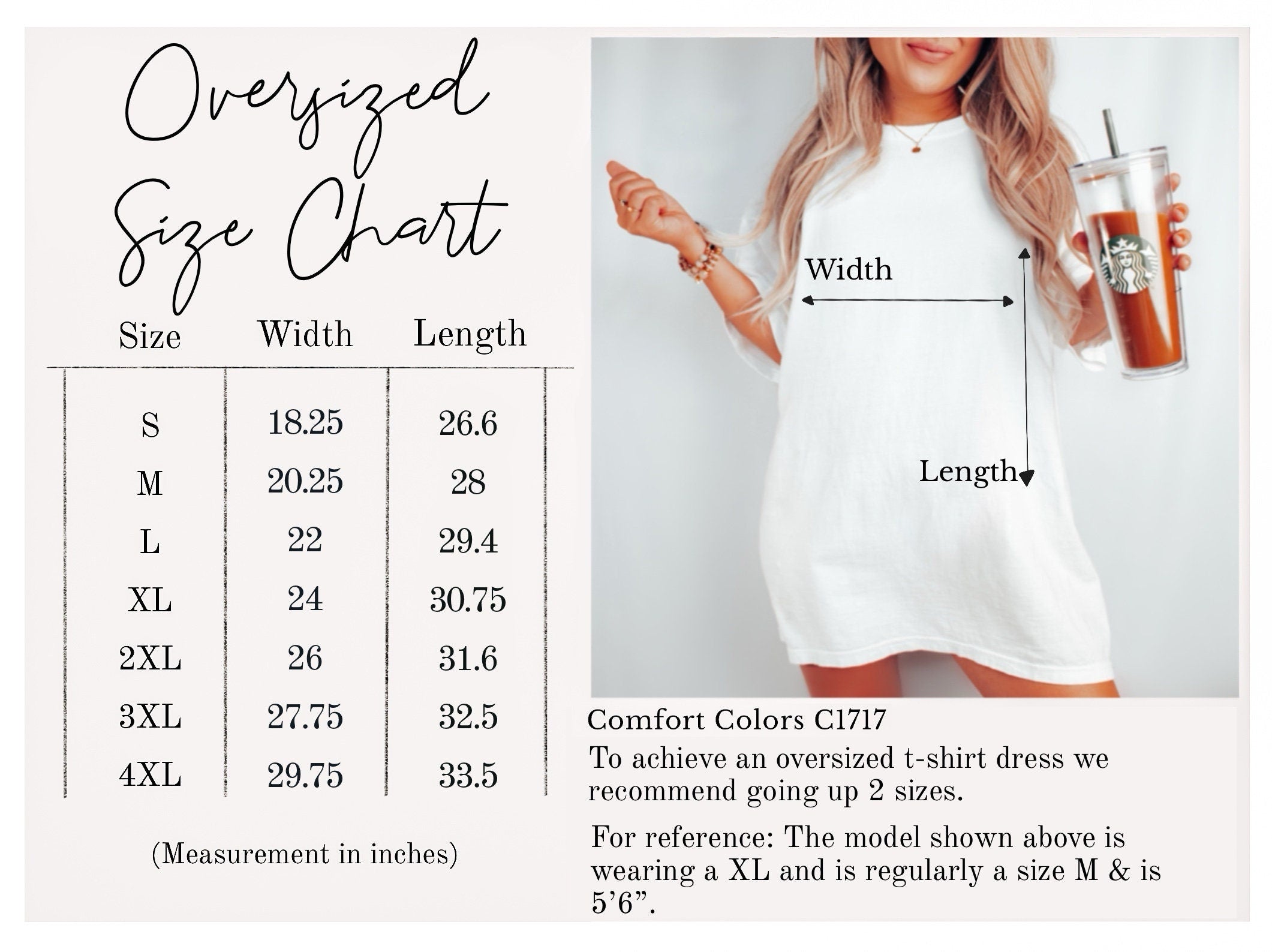 Edgar Allan Poe Raven Shirt